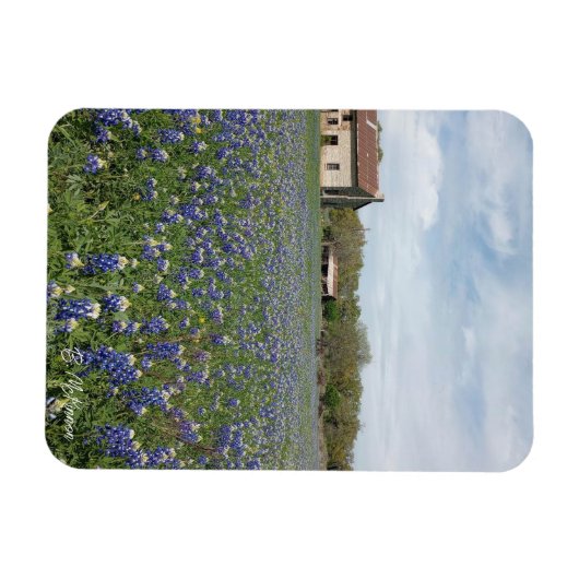 Bluebonnets Famous Texas House Magnet (Horizontal)