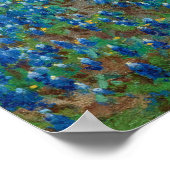 Bluebonnets-Feld von Julian Onderdon Poster (Ecke)
