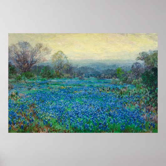 Bluebonnets-Feld von Julian Onderdon Poster (Vorne)