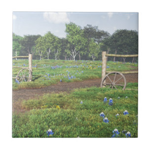 Bluebonnets Fliese