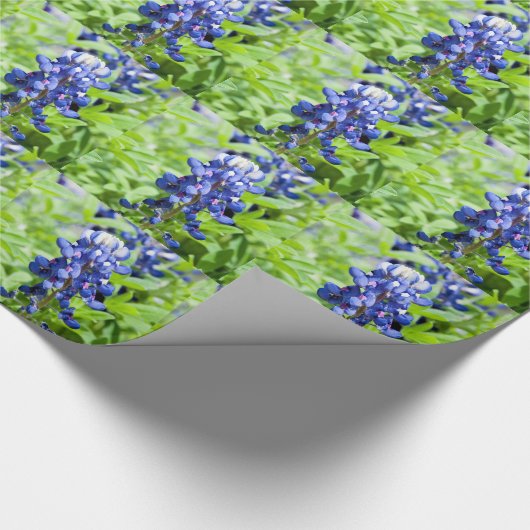 Bluebonnets Geschenkpapier (Ecke)