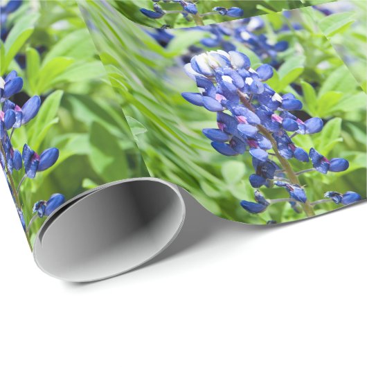 Bluebonnets Geschenkpapier (Rolleneckpunkt)