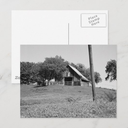 Bluebonnets im Frühjahr Postkarte (Vorne/Hinten)