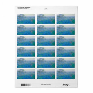 Bluebonnets in der Nähe von San Antonio, Texas von Adressaufkleber