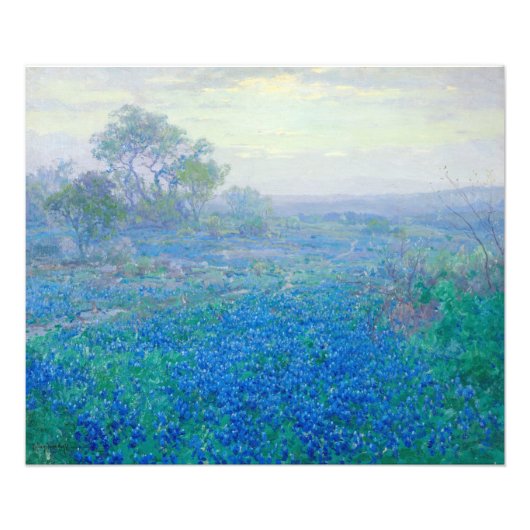 Bluebonnets in der Nähe von San Antonio, Texas von Fotodruck (Vorne)
