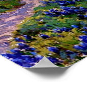 Bluebonnets in Twilight, nördlich von San Antonio Poster (Ecke)