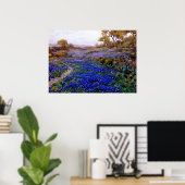 Bluebonnets in Twilight, nördlich von San Antonio Poster (Heimbüro)