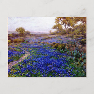 Bluebonnets in Twilight, nördlich von San Antonio Postkarte
