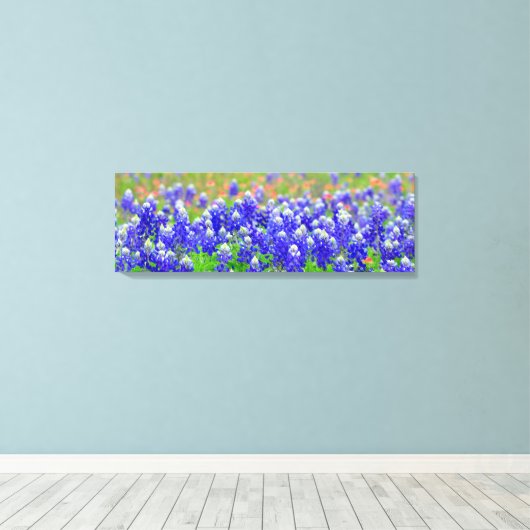 Bluebonnets Leinwanddruck (Insitu (Holzboden))