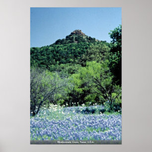 Bluebonnets, Llano, Texas, USA Poster