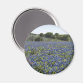 Bluebonnets Magnet (Vorderseite/Rückseite)