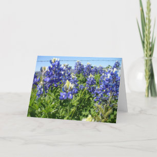Bluebonnets Notecard Karte