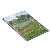 Bluebonnets Notizblock (Rechte Seite)