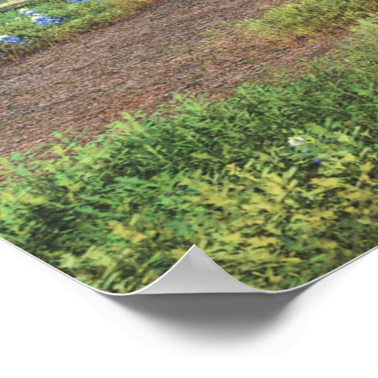 Bluebonnets Poster (Ecke)