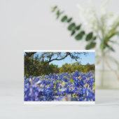 Bluebonnets Postkarte (Stehend Vorderseite)