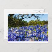 Bluebonnets Postkarte (Vorne/Hinten)