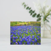 Bluebonnets Postkarte (Stehend Vorderseite)