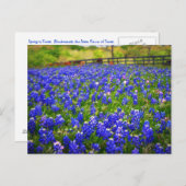Bluebonnets Postkarte (Vorne/Hinten)