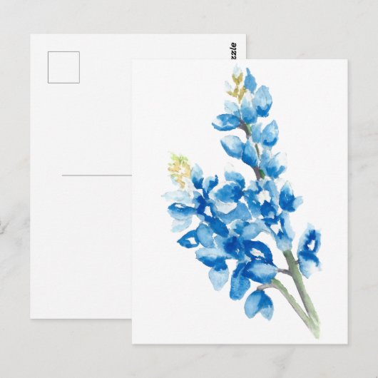 Bluebonnets Postkarte (Vorne/Hinten)