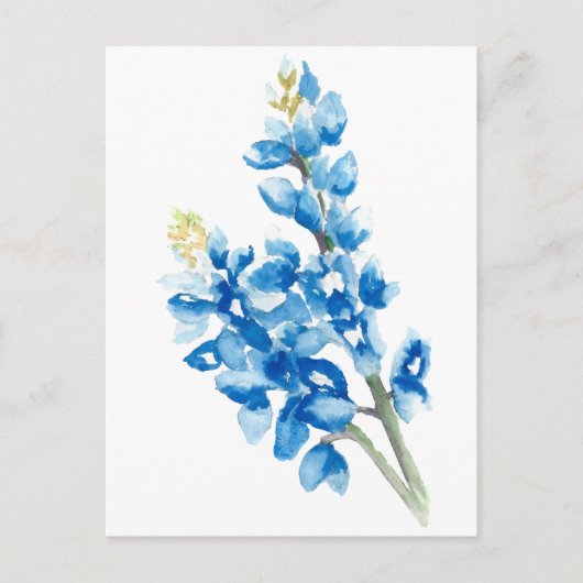 Bluebonnets Postkarte (Vorderseite)