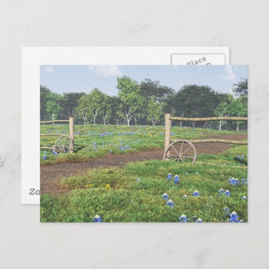 Bluebonnets Postkarte (Vorne/Hinten)