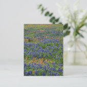Bluebonnets Postkarte (Stehend Vorderseite)