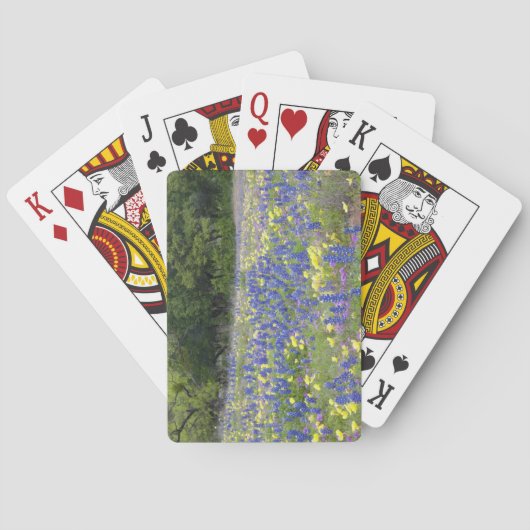 Bluebonnets, Primel und Phlox Spielkarten (Rückseite)