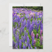 Bluebonnets Texas Blue Floral Elegante Hochzeit Einladung (Rückseite)