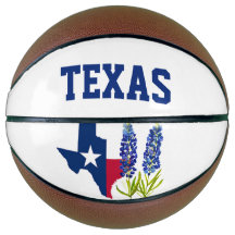 Bluebonnets Texas Blume Floral Texan Flag