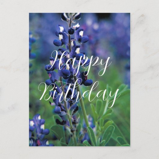 Bluebonnets Texas Staat Blume Blue Birthday Postkarte (Vorderseite)