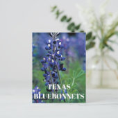 Bluebonnets Texas Staat Blume Blue Floral Lupine Postkarte (Stehend Vorderseite)