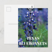 Bluebonnets Texas Staat Blume Blue Floral Lupine Postkarte (Vorne/Hinten)