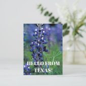 Bluebonnets Texas Staat Blume Blue Floral Lupine Postkarte (Stehend Vorderseite)