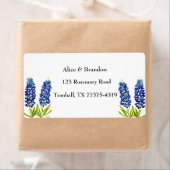 Bluebonnets Texas Staat Blume Lupine (Insitu)