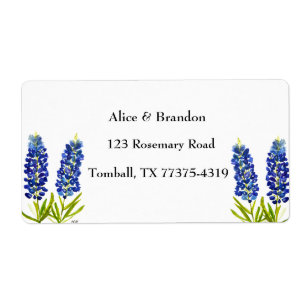 Bluebonnets Texas Staat Blume Lupine