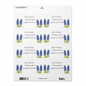 Bluebonnets Texas Staat Blume Lupine (Vorne)