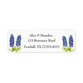 Bluebonnets Texas Staat Blume Lupine (Vorne)