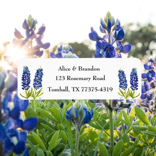 Bluebonnets Texas Staat Blume Lupine