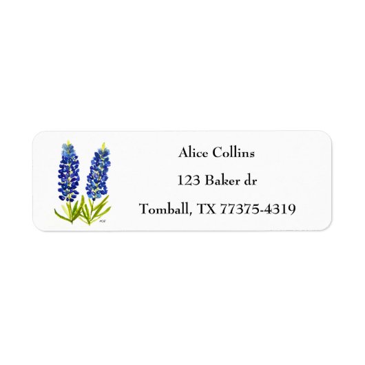 Bluebonnets Texas Staat Blume Lupine (Vorne)