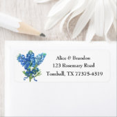 Bluebonnets Texas Staat Blume Lupine (Insitu)