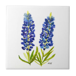 Bluebonnets Texas Staat Blume Lupine Fliese