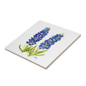 Bluebonnets Texas Staat Blume Lupine Fliese (Seite)
