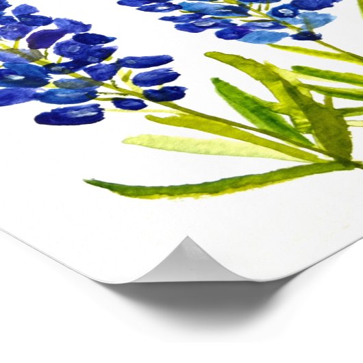 Bluebonnets Texas Staat Blume Lupine Poster (Ecke)