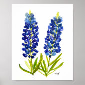 Bluebonnets Texas Staat Blume Lupine Poster (Vorne)