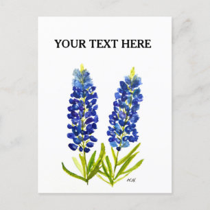 Bluebonnets Texas Staat Blume Lupine Postkarte