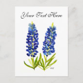 Bluebonnets Texas Staat Blume Lupine Postkarte (Vorderseite)