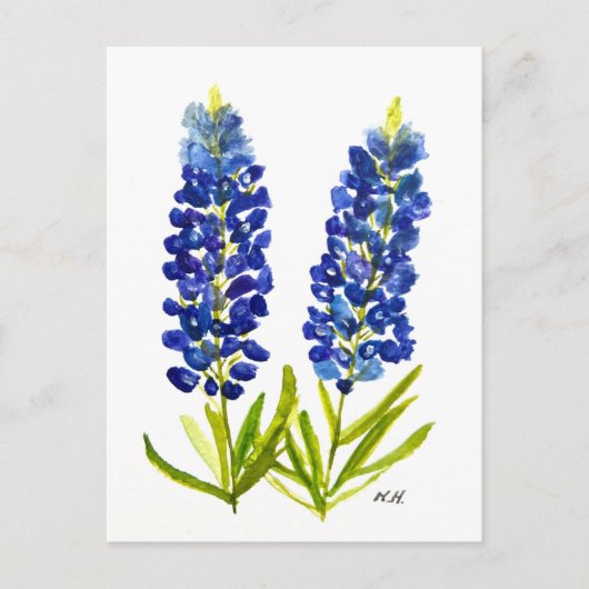 Bluebonnets Texas Staat Blume Lupine Postkarte (Vorderseite)