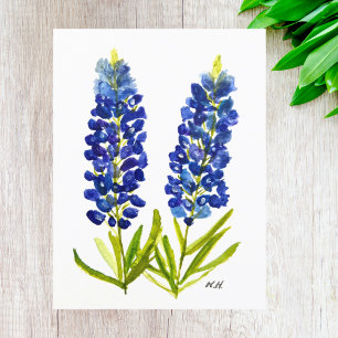 Bluebonnets Texas Staat Blume Lupine Postkarte
