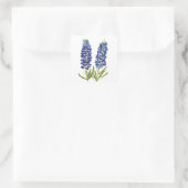 Bluebonnets Texas Staat Blume Lupine Quadratischer Aufkleber (Tasche)