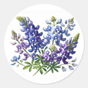 Bluebonnets Texas Staat Blume Lupine Runder Aufkleber